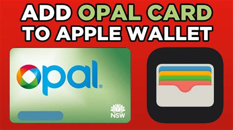 opal contactless card|add opal card to wallet.